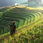 BGN agripreneur pupuk organik mustika tani