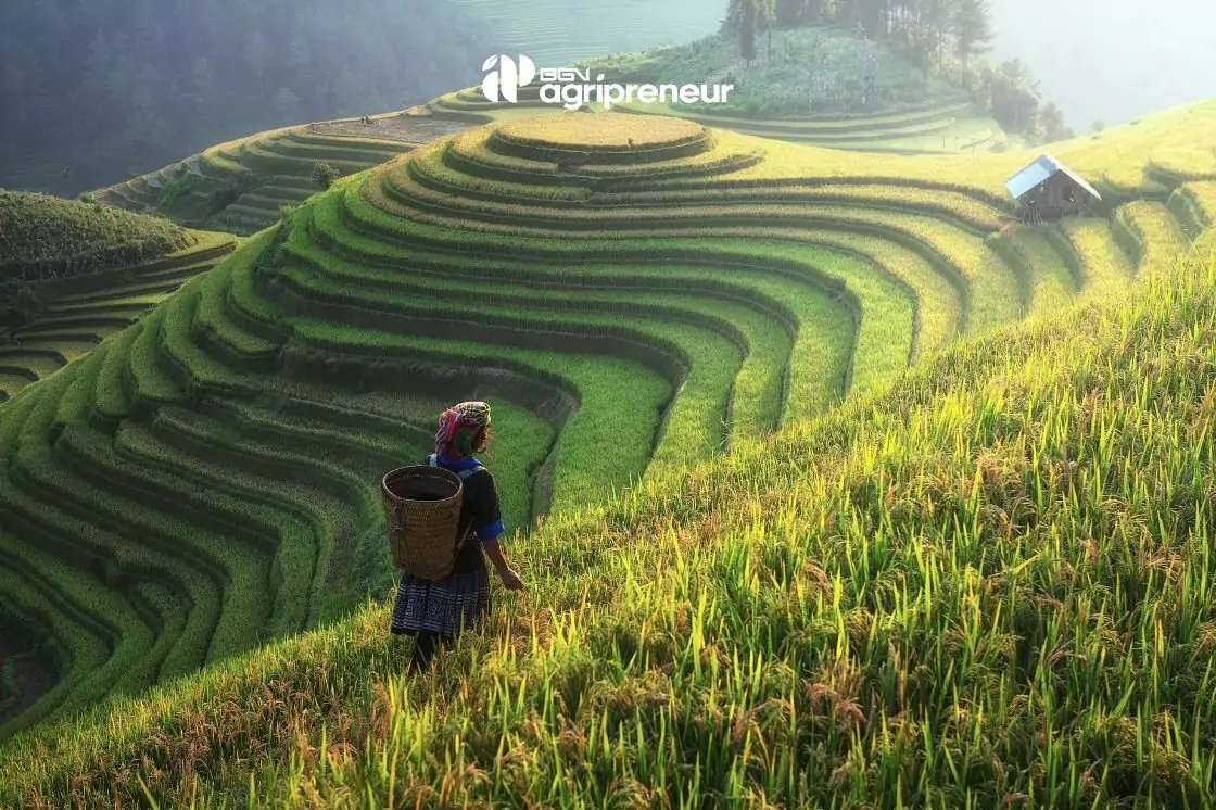 BGN agripreneur pupuk organik mustika tani