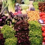 BGN agripreneur pupuk organik mustika tani pupuk hayati