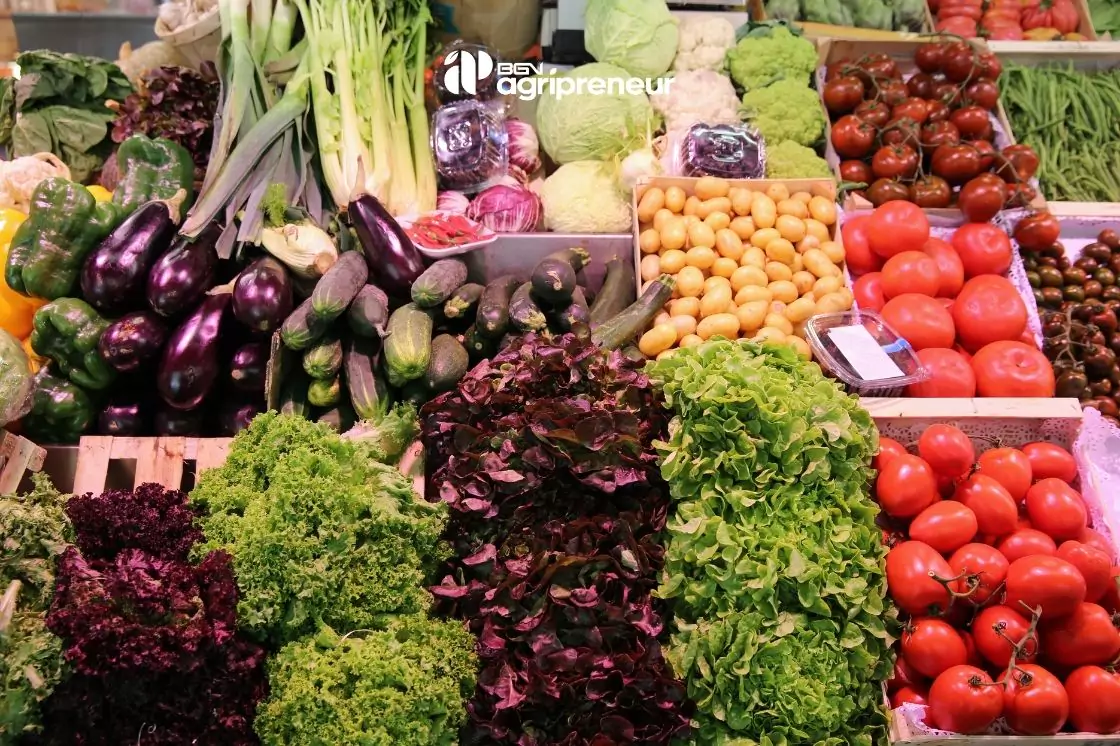 BGN agripreneur pupuk organik mustika tani pupuk hayati