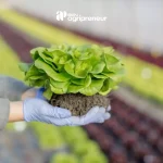 BGN agripreneur pupuk organik mustika tani Langkah Memulai Bisnis Pertanian Organik Skala Kecil